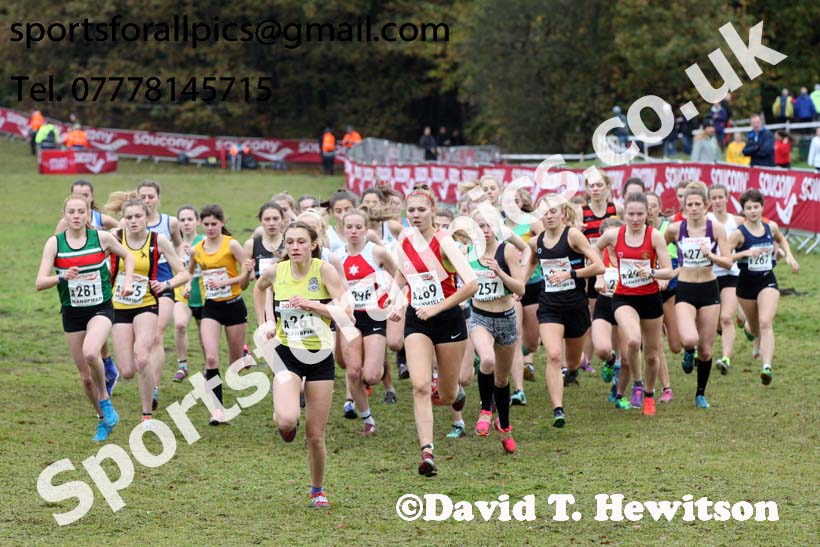 Womens junior National Cross Country Relay, Berry Hill Park, Mansfield. Photo:  David T. Hewitson/Sports for All Pics